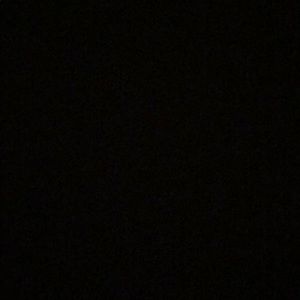 Meet your Posher, Dani